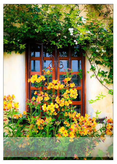 carmel-0434